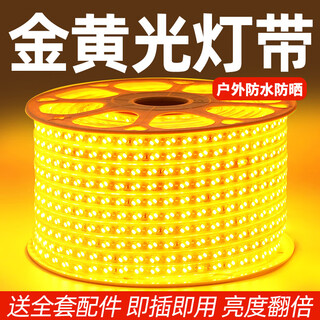 Fanyao outdoor waterproof golden light strip full roll led super bright light strip 220v special engineering high voltage light strip for living room exterior wall 120 beads-golden light-100 meters