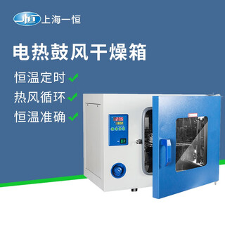 Yiheng shanghai electric blast drying oven laboratory oven constant temperature oven industrial oven small high temperature test drying oven dhg-9075a rt+10~300