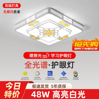 Fangfanmei 2025 new led ceiling lamp room bedroom lamp living room lamp hall modern simple chinese zhongshan lamp 2 square 50*50cm high bright white light 48w