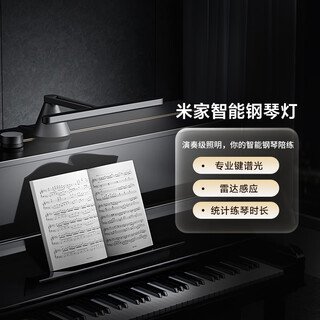 Mijia smart piano lamp, professional music score lamp for children and students, smart eye protection lamp