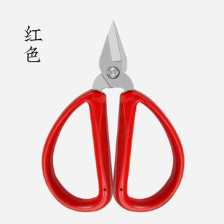 张小泉尖头短嘴小剪刀指甲老式大头修指甲小剪刀精品剪脚指甲剪子 不锈钢-红色