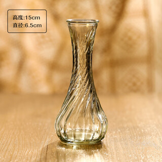 Vatican gatti nordic exquisite mini glass vase water-raised flowers decoration small vase flower ornaments small thread