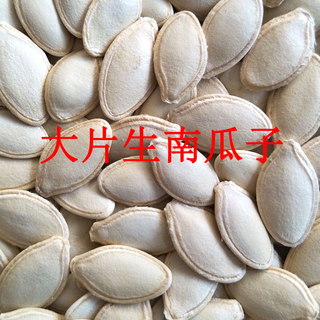 飞益森新货生南瓜子5斤装2斤1斤带壳原味生南瓜籽皮薄饱满 精选大片生南瓜子(1斤装)