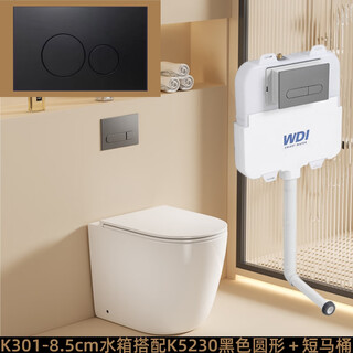 威迪亚落地隐藏马桶分体墙排坐便器后排水座便入墙矮水箱马桶小户型坐厕 K301水箱黑色圆形按钮＋53cm马桶 其他/other