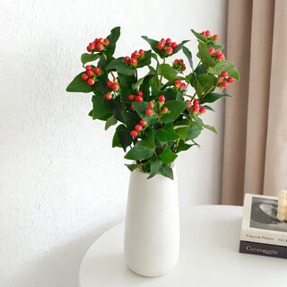 Honghonghuohuo fire dragon ball red 5 sticks