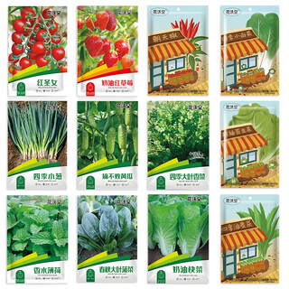 Huawoli 12 types of vegetable seeds: cucumber, tomato, strawberry, coriander, mint, lettuce, pepper, cabbage, spinach, chive seeds