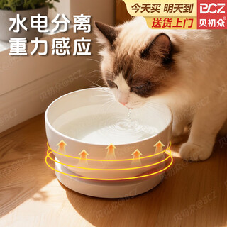 贝初众酸奶机猫咪恒温饮水机陶瓷碗恒温加热温水碗宠物猫狗喝水碗保温碗 雪域白-350ml【35~55℃恒温加热垫】 猫咪恒温陶瓷水碗 碗垫分离易清洗