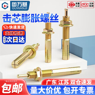 Guwanji core-hit expansion screw one-nail knock-type expansion bolt lift expansion hammer gecko national standard fastener m10x100 (5 pieces)