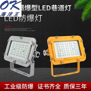 Customized dgs50/127l explosion-proof d tunnel light 243640 watts 24v36 explosion-proof lighting emergency lamp coal 24w shell color contact customer service for remarks