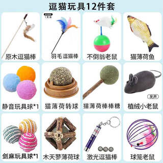 Guazhou shepherd cat toy set, self-stimulating laser cat amusing stick, kitten feather pet toy to relieve boredom, cat amusing toy 12-piece set upgrade pack