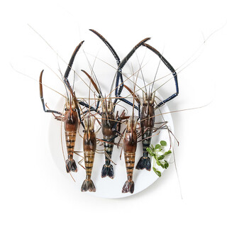 250g of chilled shrimps (about 6-11 pieces)