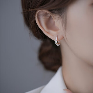 Crystal daisy silver earrings for women 2025 new earrings earrings earrings girls light luxury niche high-end gift