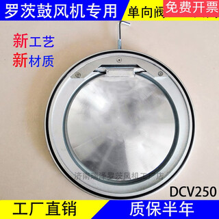 Dcv40dcv50dcv65dcv80 water stop valve blower special one-way valve check valve dn100 flange