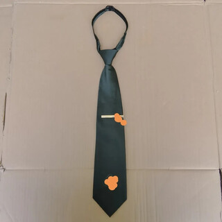 wj领带带绿色常服拉链可调节领带卡套装 领带中号+领带夹