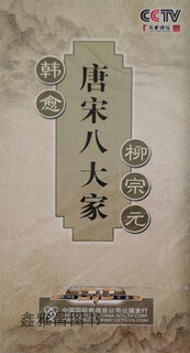 唐宋八大家  CCTV百家讲坛,康震主讲,中国国际电视总公司,9787799825601