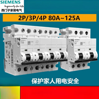 西门子（SIEMENS）西门子进口5SP4大功率黑色断路器空气开关23125空开 2P 100A