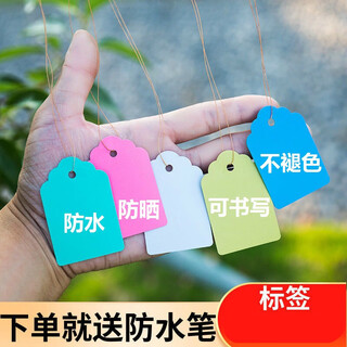 Shipton 100 pieces of hang tags, plant signs, tree signs, classification color cards, plastic waterproof, sun-resistant, non-fading pvc labels, 5*7cm powder, 100 pieces