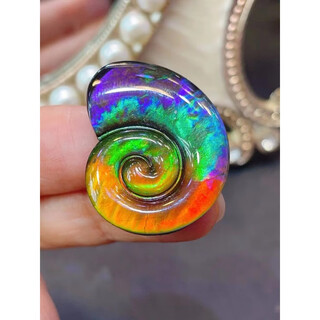 Luxurious american goods canadian ammolite cosmic snail bare stone pendant rainbow color with pink specifications28*22mm