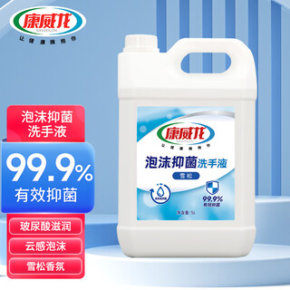 Conwayron cedar foam hand sanitizer large barrel commercial school hotel