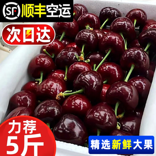 Caiti chile imported cherries cherry cherries 1-5 jin jin equals 0.5 kg next day delivery cherry fresh fruit in season whole box 1 jin jin equals 0.5 kg (net weight) with box one jin jin equals 0.5 kg packing j 26mm (inclusive) - 28mm (exclusive)