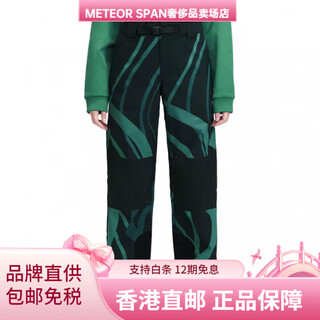 Descente waterproof and windproof snowboard pants for men and women, green green s