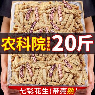 滇脉新货云南七彩花生米商用批发晒干七彩带壳生熟花生普洱孟连特 【熟带壳】七彩花生20斤