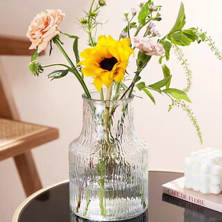 Chuzhuo creative simple glass vase hydroponic green plant flowers home decoration 15 frozen bark pattern transparent