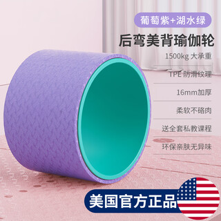 Xinneng yoga wheel widened back bend artifact beginners professional open back pilates yoga circle thick back rolling equipment enlarged widened yoga wheel - grape purple + lake green