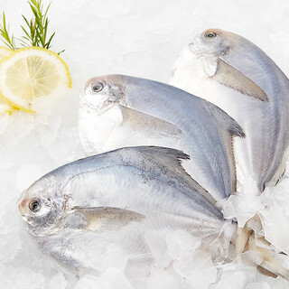 Chilled white pomfret 400g (pack of 4)