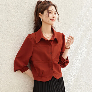 Terre bleue temperament and high-end shirt for women 2025 new autumn fashion outer wear small slim versatile top