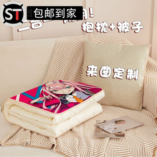 Shantou lincun car pillow cover blanket 2-in-1 customized pillow quilt 2-in-1 multifunctional car folding air conditioner baby velvet pillow quilt 40x40cm open 115 width x 140 long