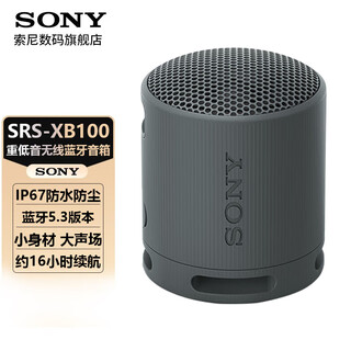 索尼（SONY）SRS-XB100无线蓝牙音箱 重低音炮 户外迷你便携式小音响 重低音16小时续航 防水防尘 送男女友礼物 SRS-XB100黑色