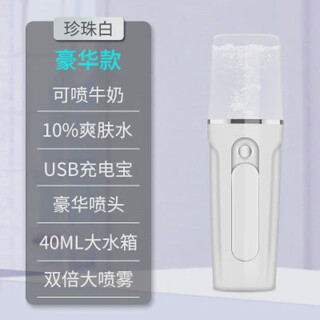 Ручной холодный спрей, перезаряжаемый тест на кожу девушки, пропаривание лица, мини-портативная увлажняющая красота, белая роскошная модель (резервуар для воды 40 мл)