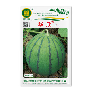 Jingyan academy of agricultural sciences watermelon seed jingxin jingmei sweet king 8424 kirin melon seedless lazy man rock sugar small watermelon seed jingyan huaxin 25g