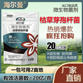 Guanlong agricultural chemical bacillus subtilis compound microbial agent to prevent and control bacterial wilt, root rot, ginger plague and root rot 1000g*3 bags