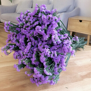 Ldvep yunnan forget-me-nots dried flower bouquet of gypsophila real flowers light purple forget-me-nots 2jin jin equals 0.5kg