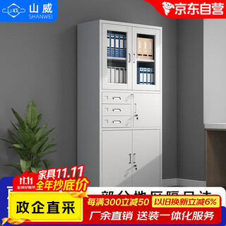 Shanwei steel filing cabinet office cabinet information cabinet equipment cabinet iron cabinet filing cabinet storage cabinet partial three-guarantee filing cabinet