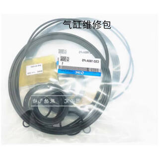 Smc cylinder repair kit cs2-160a-ps 1 piece