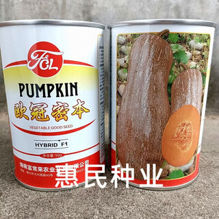 Canned european crown honey pumpkin seeds grown in the field, medium and late maturing old honey pumpkin seeds, thick and sweet 50g