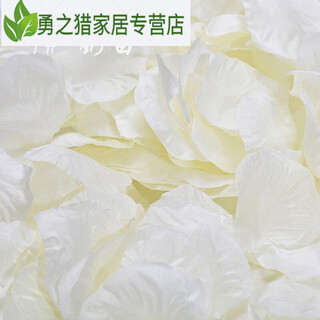 1000 pieces of non-woven fabric simulated rose petals, romantic petals, birthday decoration, proposal, wedding, valentine's day confession, milky white, 1000 pieces
