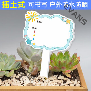 Xushansi kindergarten simulation pot brand gardening simulation flower pot simulation label signage succulent care brand diy handmade yhcd-09 10x16cm