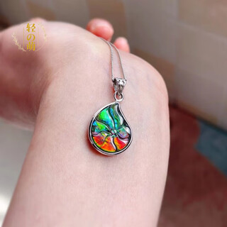 Cute canadian ammonite snail pendant