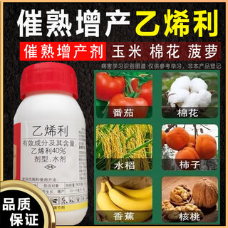 Ethephon 40% ripe banana tomato persimmon increase rice fruit cotton growth regulator pesticide 100g (1 bottle)