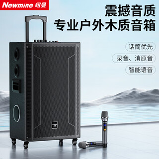 Newmine n538 15-inch square dance bluetooth speaker high-power outdoor mobile portable trolley home karaoke high-volume wireless audio long-lasting dual microphone 25 speakers