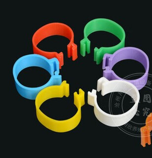 Chaoming (chaoming) tuojin-markierungsring, hühnerlogo, kunststoff-hühnerfußring mit verschiedenen zahlen, ente, maßgeschneiderter bauernhof-knopf, etikettenschild, innendurchmesser 2,0, keine worte (100 stück), nachrichtenfarbe