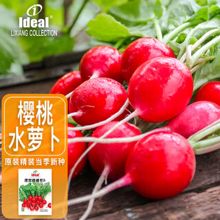 Ldeal ideal agriculture cherry radish seeds water radish seeds kindergarten vegetable seeds for four seasons about 500 capsules