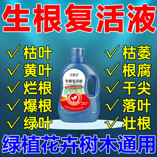 Plant revitalization liquid, dead tree yellow leaves, rotten roots and rotten seedlings, powerful rooting agent, general nutrient solution for plants and flowers, five bottles, sprouting branches, fallen leaves and rotten roots