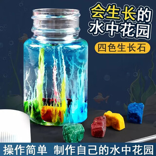 Shiyan liangpin children's experimental water garden diy chemistry primary school students scientifically made silicate nano-grown stone magic stone toy water garden (1 set) with instructions