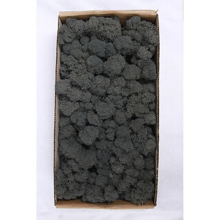 Plant boxed flower material package diy dried dried flowers real flower plant wall simulation fluffy background wall gray 500g