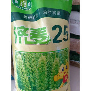 High-yielding dwarf wheat seeds jimai 38 luyan 128 luyan 951 malan no. 1 field planting crop wheat jimai 25 30 jin jin equals 0.5 kg original